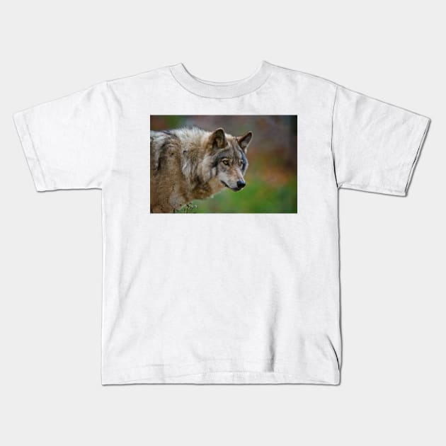 Timber Wolf Kids T-Shirt by jaydee1400